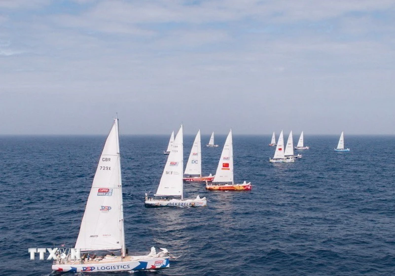 Những đội thuyền đầu tiên của Giải đua thuyền buồm vòng quanh thế giới Clipper Race mùa giải 2023-2024. (Ảnh: TTXVN phát)