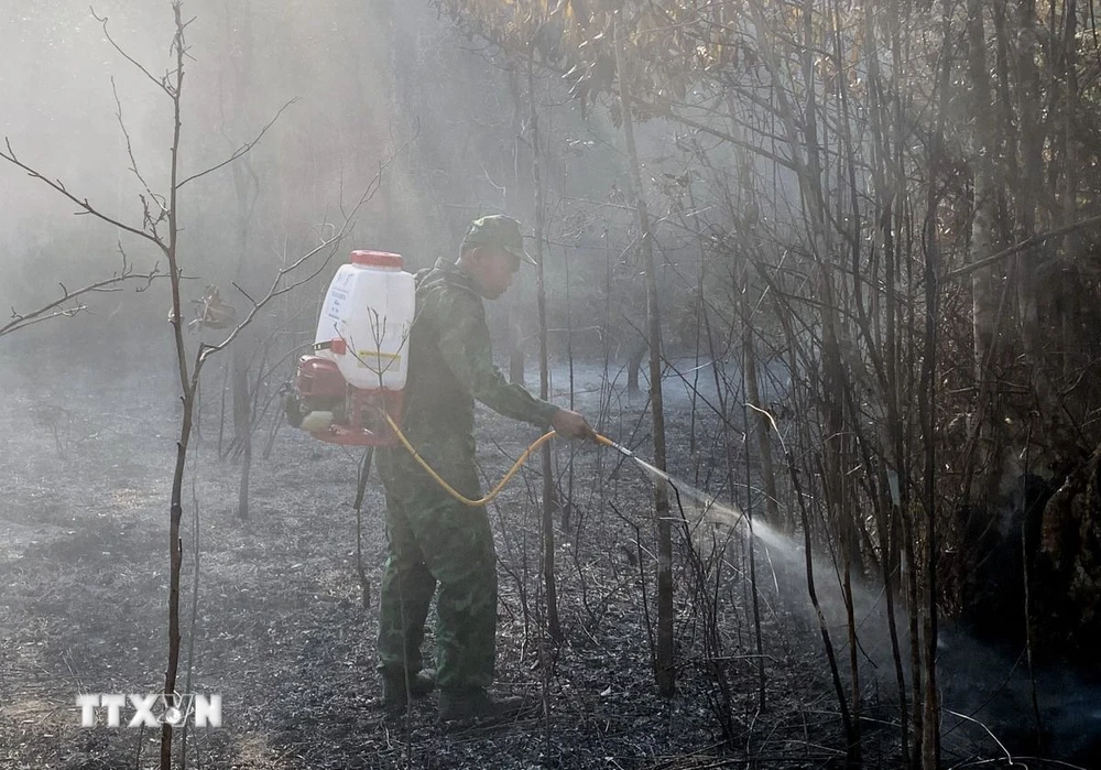Khống chế đám cháy không để lan vào Vườn quốc gia Phú Quốc- Ảnh 1.