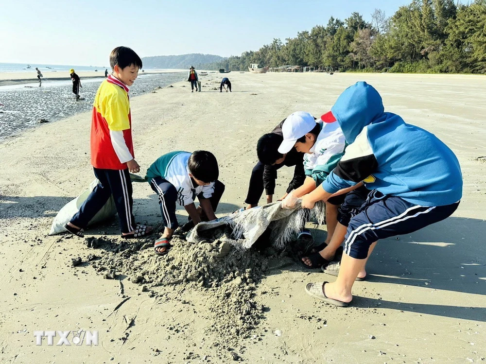 Học sinh trên đảo Cô Tô thu gom rác thải, dọn sạch bãi biển. (Ảnh: TTXVN phát)