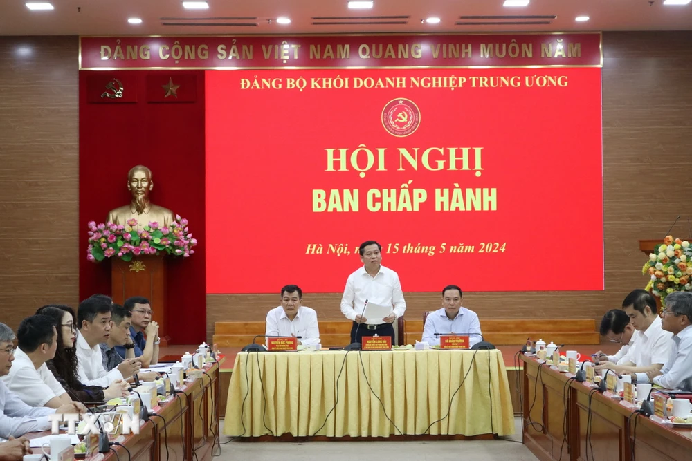 Toàn cảnh hội nghị. (Ảnh: Diệp Trương/TTXVN)