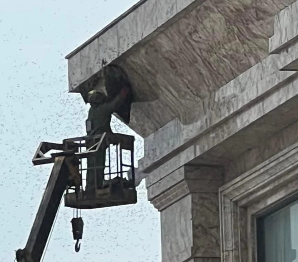 Nhân viên đang loại bỏ tổ ong trên cao. (Nguồn: Báo Hải Phòng)