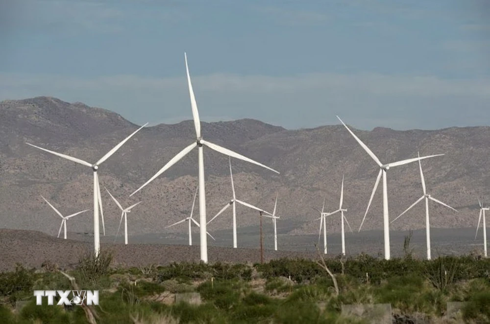 Các tuốcbin sản sinh điện gió hoạt động tại California, Mỹ. (Ảnh: Reuters/TTXVN)