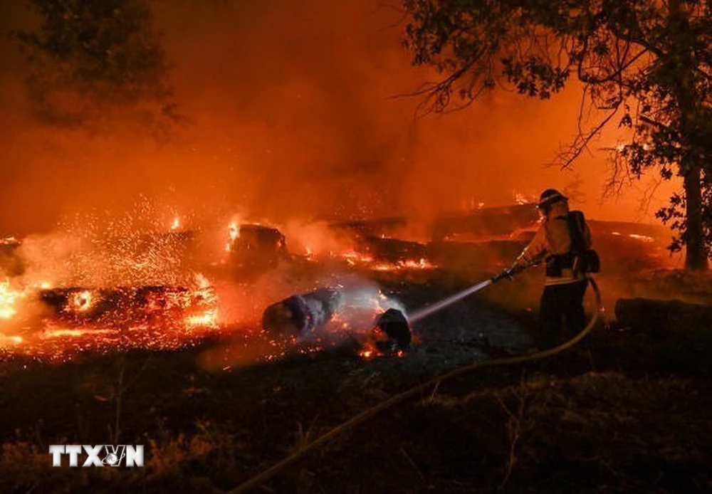 Lính cứu hỏa nỗ lực dập lửa cháy rừng tại Chico, California. (Ảnh: Getty Images/TTXVN)