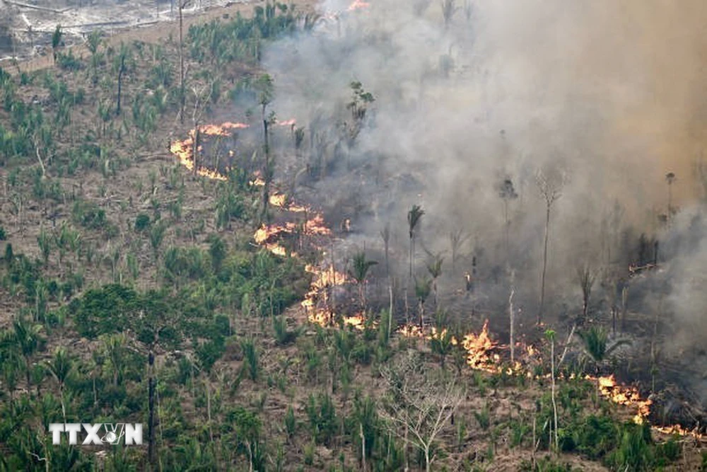 Khói bốc lên từ đám cháy rừng tại Labrea, bang Amazonas, Brazil. (Ảnh: Getty Images/TTXVN)