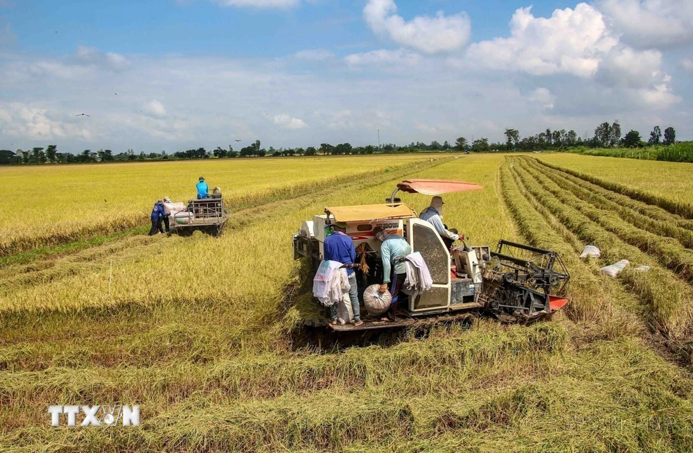 79 năm Bác Hồ đọc Tuyên ngôn Độc lập: Giữ vững lời thề lịch sử- Ảnh 4.