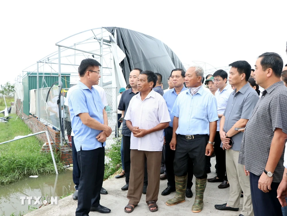 Người dân báo cáo với Phó Thủ tướng Lê Thành Long (ngoài cùng, bên trái) về thiệt hại do bão số 3 gây ra đối với các diện tích trồng dưa trong nhà màng, nhà lưới tại xã Phạm Trấn, huyện Gia Lộc. (Ảnh: Mạnh Tú/TTXVN)