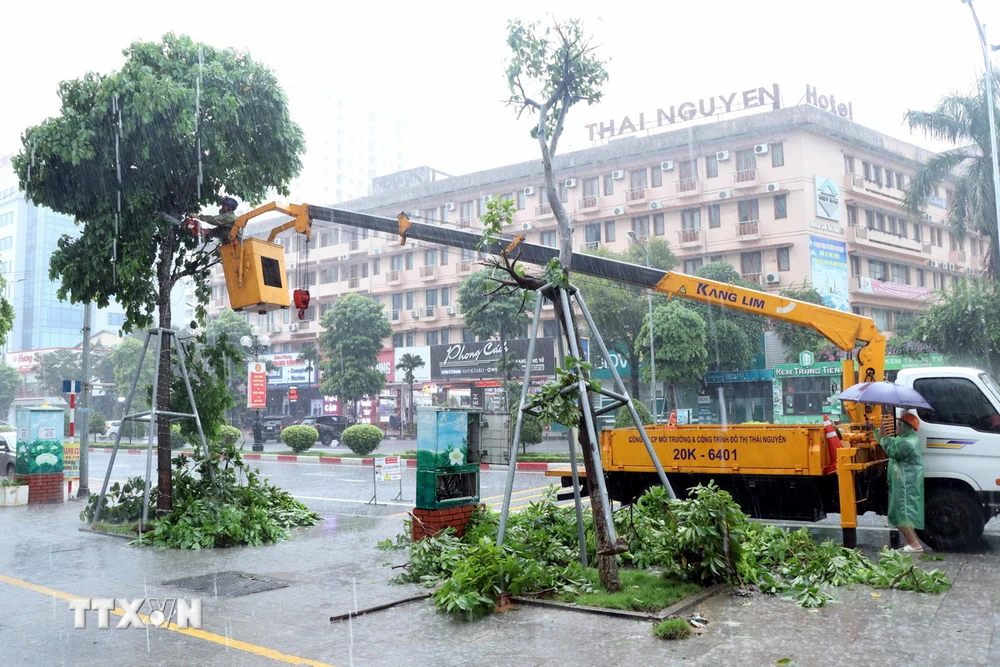 Lực lượng chức năng thực hiện cắt tỉa cây xanh bị gãy đổ sau bão. (Ảnh: Thu Hằng/TTXVN)