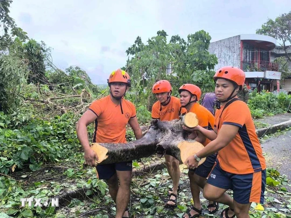 Cây cối gãy đổ do bão Trami tại tỉnh Albay, Philippines. (Ảnh: THX/TTXVN)