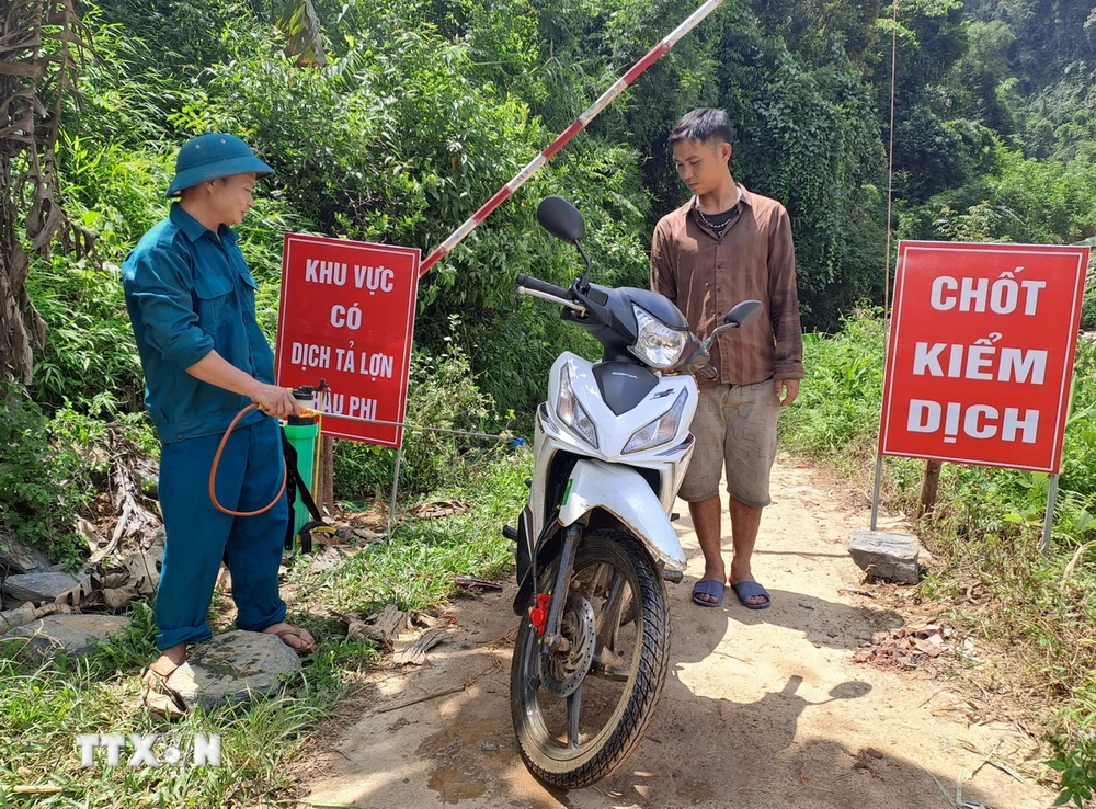 Triển khai phun hóa chất vệ sinh sát khuẩn các phương tiện ra, vào khu vực có ổ dịch. (Ảnh: Đức Thọ/TTXVN)