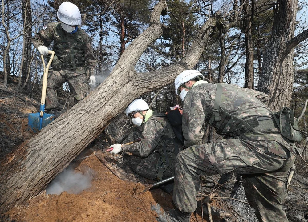 Binh sĩ Hàn Quốc nỗ lực dập các đám cháy tại thị trấn biên giới Goseong ngày 5/4. (Nguồn: YONHAP/TTXVN)