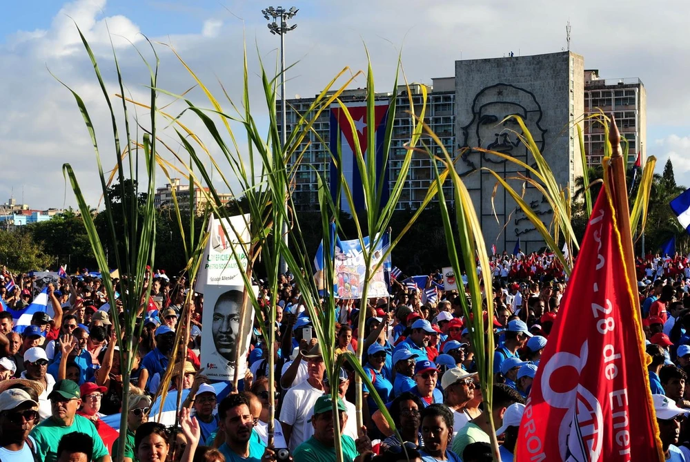 Những biểu tượng của Cuba như cây mía, luôn là phần không thể thiếu của các buổi lễ tuần hành. (Ảnh: Lê Hà/TTXVN)
