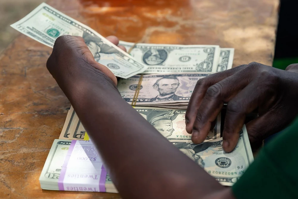 Kiểm đồng USD tại Mutoko của Zimbabwe. (Ảnh: AFP/TTXVN)