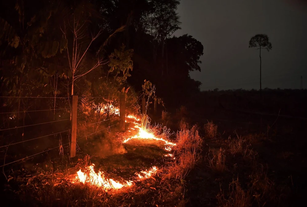 Đám cháy tại rừng Amazon ở gần Abuna, bang Rondonia, Brazil, ngày 24/8 vừa qua. (Ảnh: AFP/TTXVN)