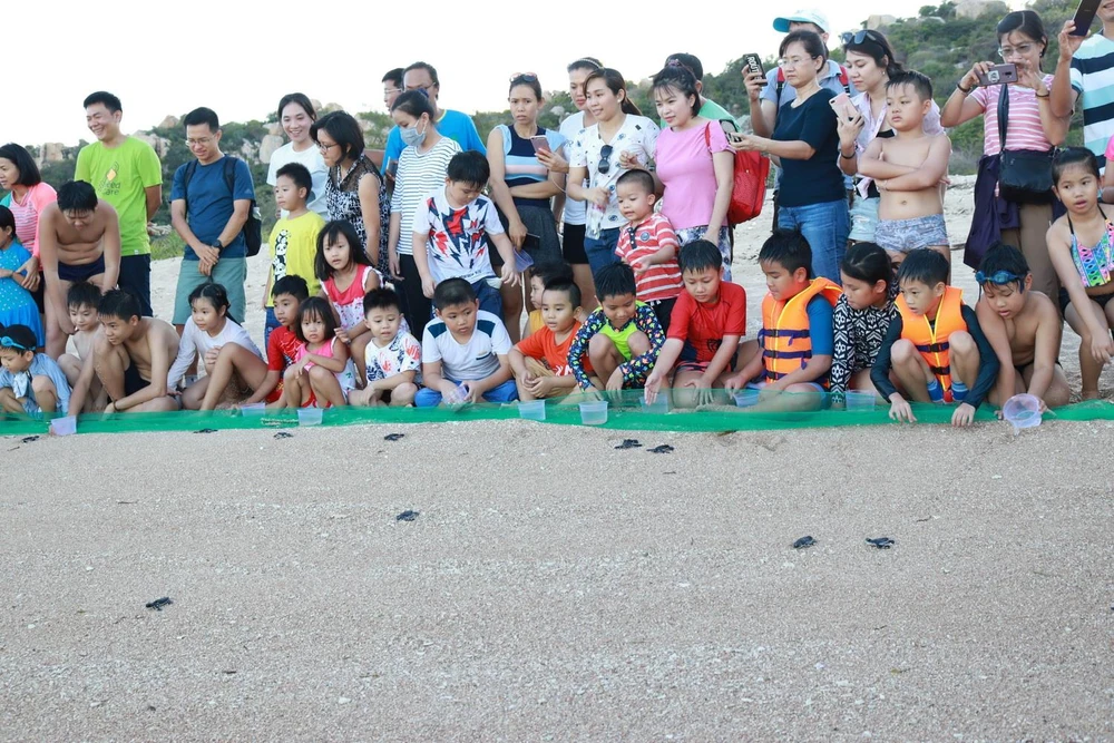 Học sinh tham gia thả rùa con về biển tại Vườn Quốc gia Núi Chúa ở tỉnh Ninh Thuận là hoạt động có ý nghĩa giáo dục lòng yêu thiên nhiên, nâng cao ý thức bảo vệ rùa biển. (Ảnh: Nguyễn Thành/TTXVN)