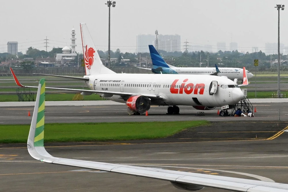 Máy bay của hãng hàng không giá rẻ Lion Air tại sân bay quốc tế Sukarno-Hatta ở ngoại ô Jakarta của Indonesia. (Ảnh: AFP/TTXVN)