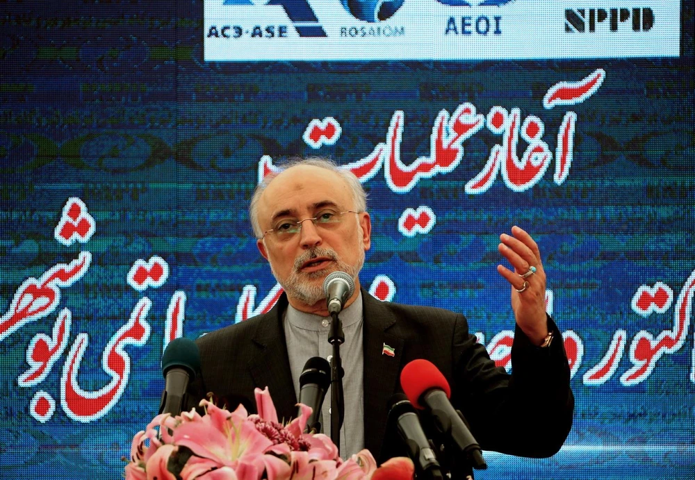 Người đứng đầu Tổ chức Năng lượng Nguyên tử Iran (AEOI) Ali Akbar Salehi phát biểu tại một sự kiện ở Bushehr ngày 10/11 vừa qua. (Ảnh: AFP/TTXVN)