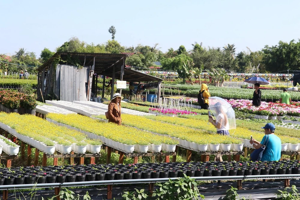 Khách du lịch tham quan, chụp ảnh tại Làng hoa kiểng Sa Đéc. (Ảnh: Nguyễn Văn Trí/TTXVN)