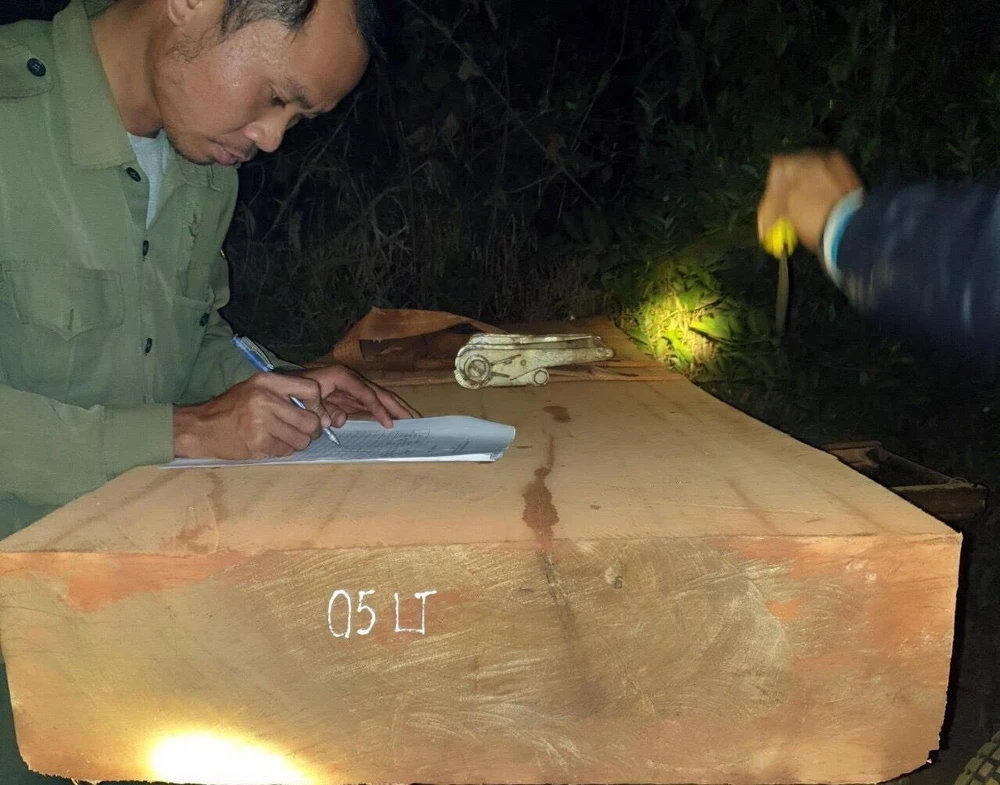 Tang vật của vụ phát hiện chở gỗ tại tiểu khu 258 xã Đăk Tơ Kan huyện Tumơrông sáng 5/3. (Ảnh: TTXVN phát)