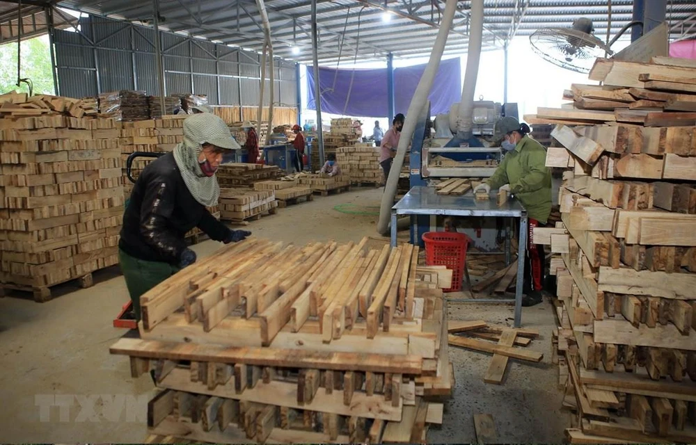 Sản xuất ván ghép thanh tại một cơ sở chế biến gỗ rừng trồng trên địa bàn huyện Cam Lộ, tỉnh Quảng Trị. (Ảnh: Hồ Cầu/TTXVN)