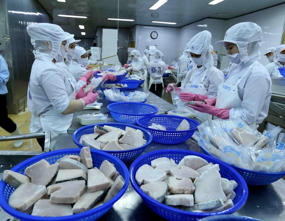 Dây chuyền chế biến cá ngừ đại dương đông lạnh xuất khẩu của Công ty Cổ phần Thủy sản Bình Định đảm bảo các tiêu chuẩn bắt buộc của EU. (Ảnh: Vũ Sinh/TTXVN)