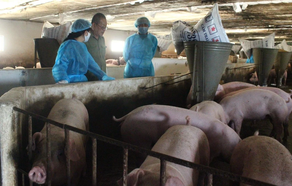 Đoàn công tác của Bộ Nông nghiệp và Phát triển Nông thôn kiểm tra việc chăn nuôi tại trang trại ở huyện Vĩnh Cửu, tỉnh Đồng Nai. (Ảnh: Công Phong/TTXVN)
