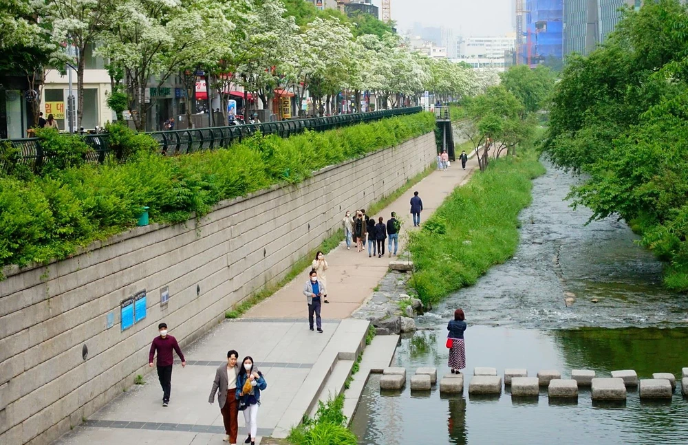 Người dân di chuyển trên đường phố tại Seoul, Hàn Quốc ngày 10/5 vừa qua. (Ảnh: THX/TTXVN)