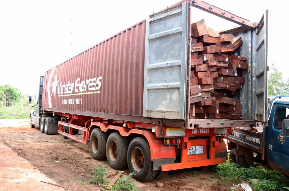 Một khối lượng lớn gỗ căm xe được chất lên xe container. (Ảnh: Quang Thái/TTXVN)