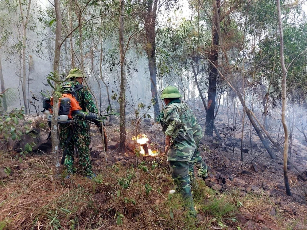 Lực lượng chức năng nỗ lực dập lửa khống chế vụ cháy rừng tại xã Diễn Lộc. (Ảnh: TTXVN phát)