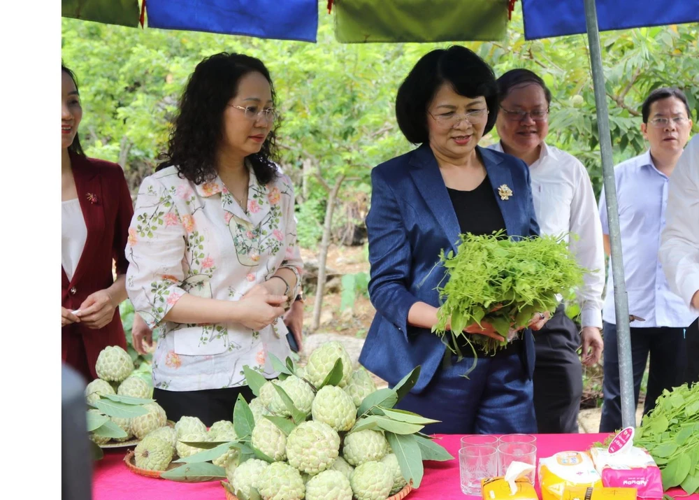 Phó Chủ tịch nước Đặng Thị Ngọc Thịnh tham quan sản phẩm nông nghiệp của huyện Chi Lăng, Lạng Sơn. (Ảnh: Quang Duy/TTXVN)