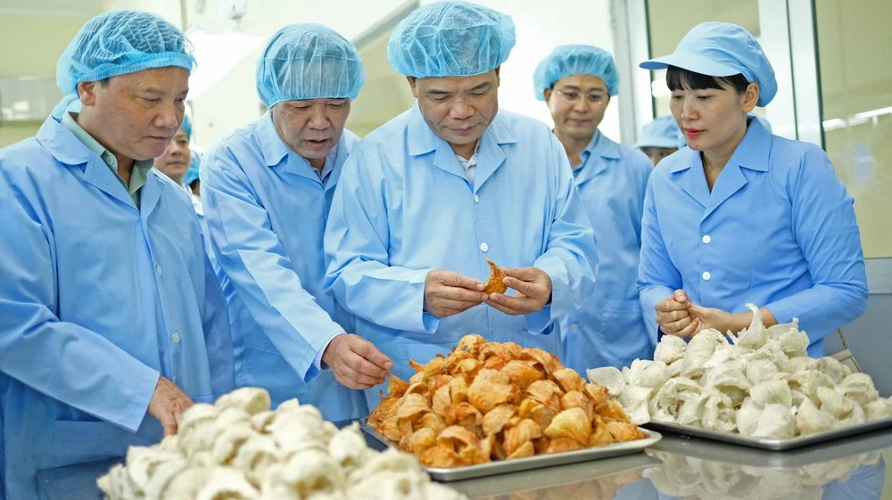 Bộ trưởng Nguyễn Xuân Cường và đoàn công tác đến thăm nhà máy chế biến yến sào đặc sản của tỉnh Khánh Hòa. (Ảnh: Nguyễn Dũng/TTXVN)