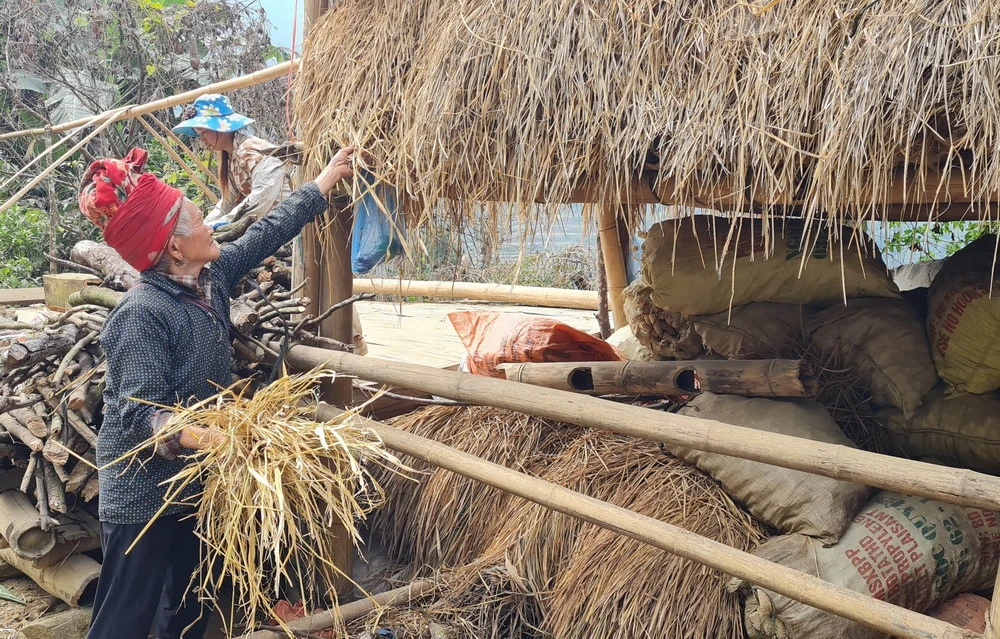 Nông dân tích trữ rơm trên gác mái chuồng trại để giữ ấm và đảm bảo thức ăn cho đàn gia súc trong mùa rét. (Ảnh: Hương Thu/TTXVN)