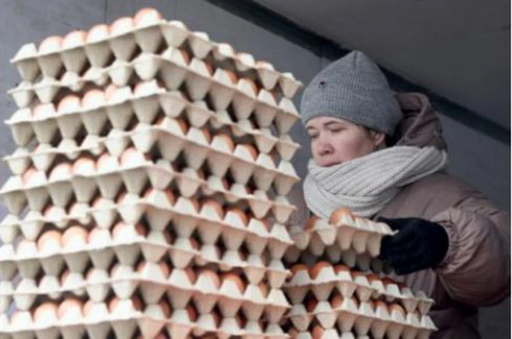 Nga nằm trong top 10 nước dẫn đầu về mức tiêu thụ trứng, là nhà sản xuất lớn thứ 6 trên thế giới. (Nguồn: Tass)