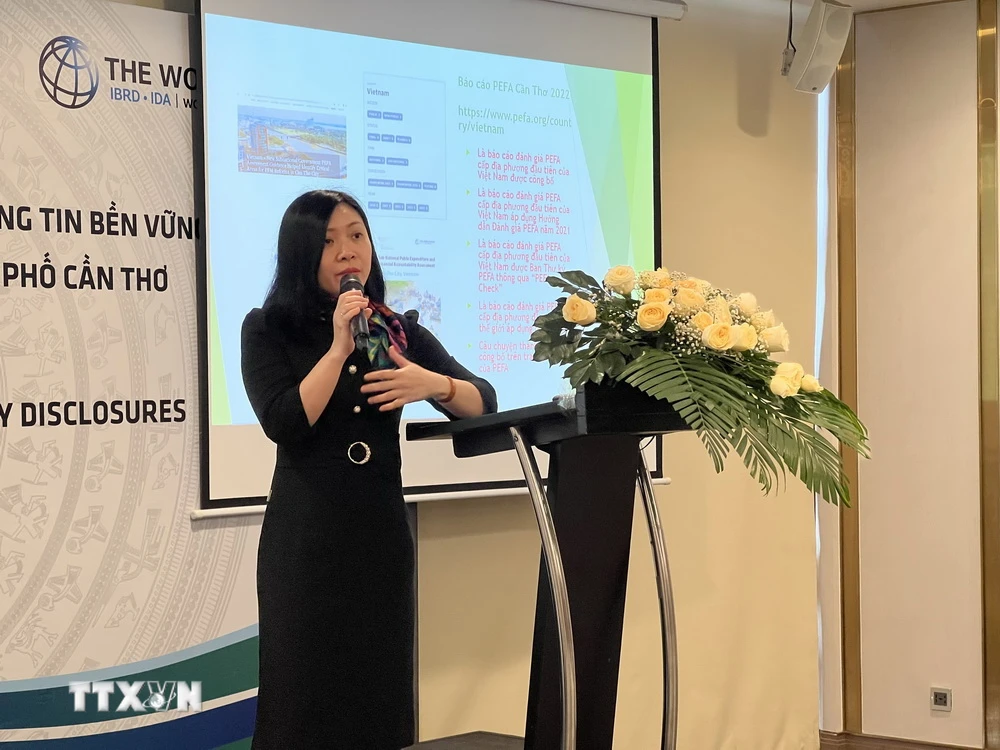 Bà Trần Thị Phương Mai, chuyên gia cao cấp về quản lý tài chính của WB phát biểu tại Hội thảo. (Ảnh: Ánh Tuyết/TTXVN)