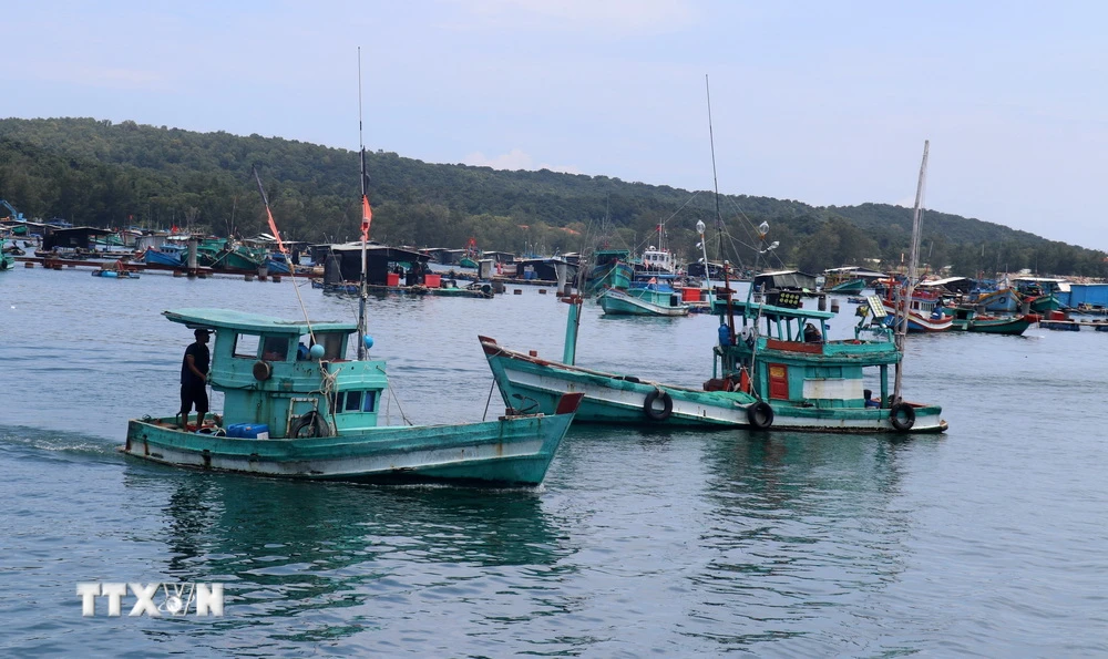 Tàu cá công suất nhỏ neo đậu khu vực Cảng cá An Thới, thành phố Phú Quốc, tỉnh Kiên Giang. (Ảnh: Lê Huy Hải/TTXVN)
