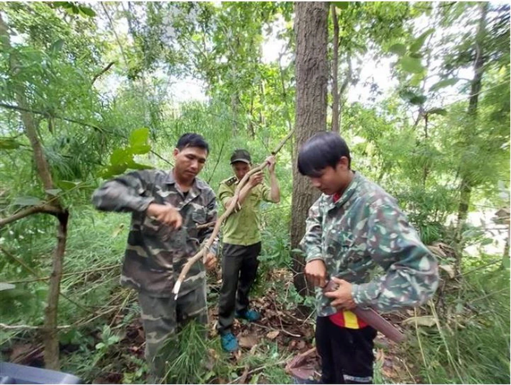 Tổ cộng đồng tuần tra bảo vệ rừng phối hợp với lực lượng kiểm lâm kiểm tra, tháo gỡ bẫy động vật tại Vườn Quốc gia Chư Yang Sin. (Ảnh: TTXVN phát)