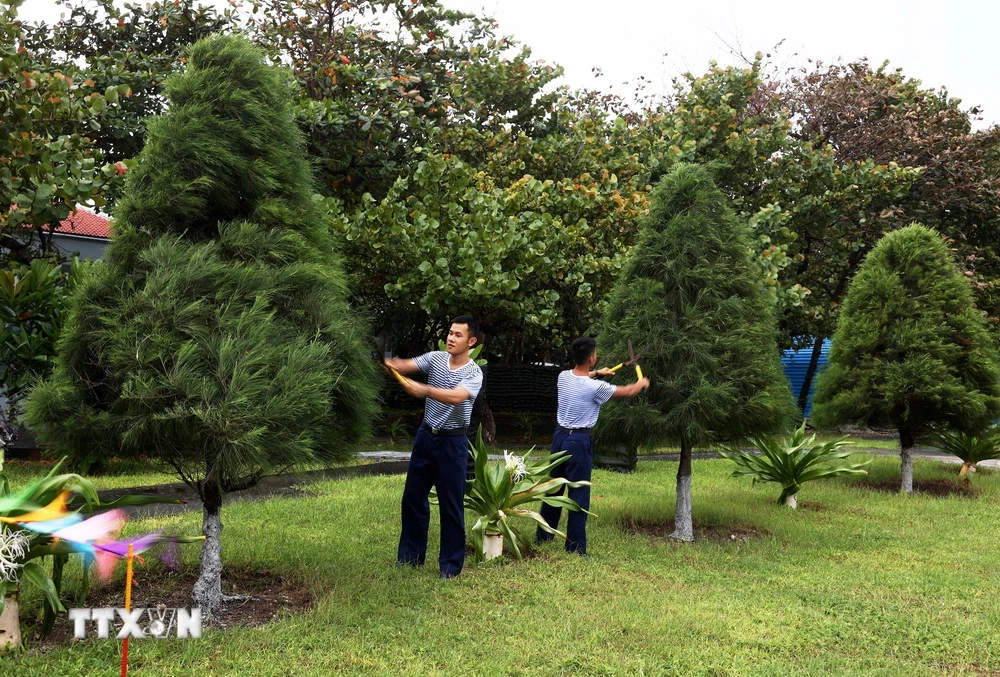 Nhiều cây cảnh được trồng ở khu vực trung tâm đảo Trường Sa, góp phần tạo cảnh quan môi trường chính quy, xanh, sạch, đẹp trên đảo. (Ảnh: Hồng Đạt/TTXVN)