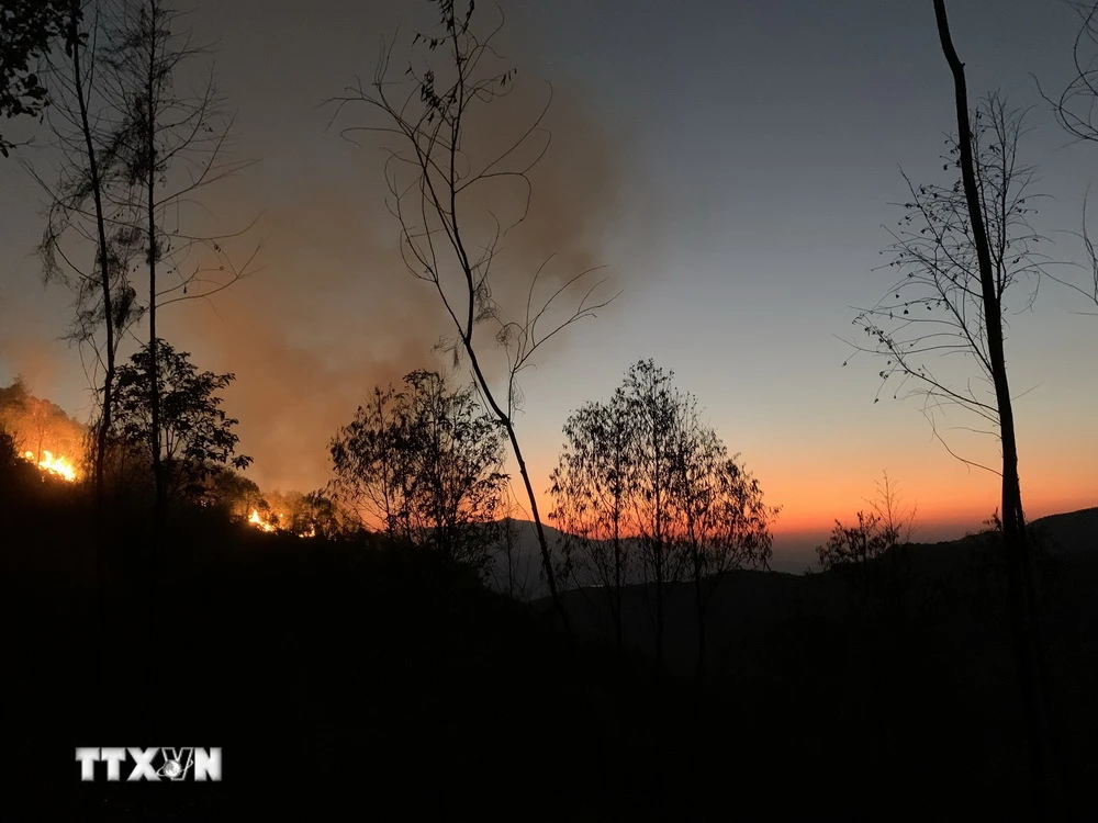 Hiện trường vụ cháy rừng tại xã Mồ Dề, huyện Mù Cang Chải. (Ảnh: TTXVN phát)