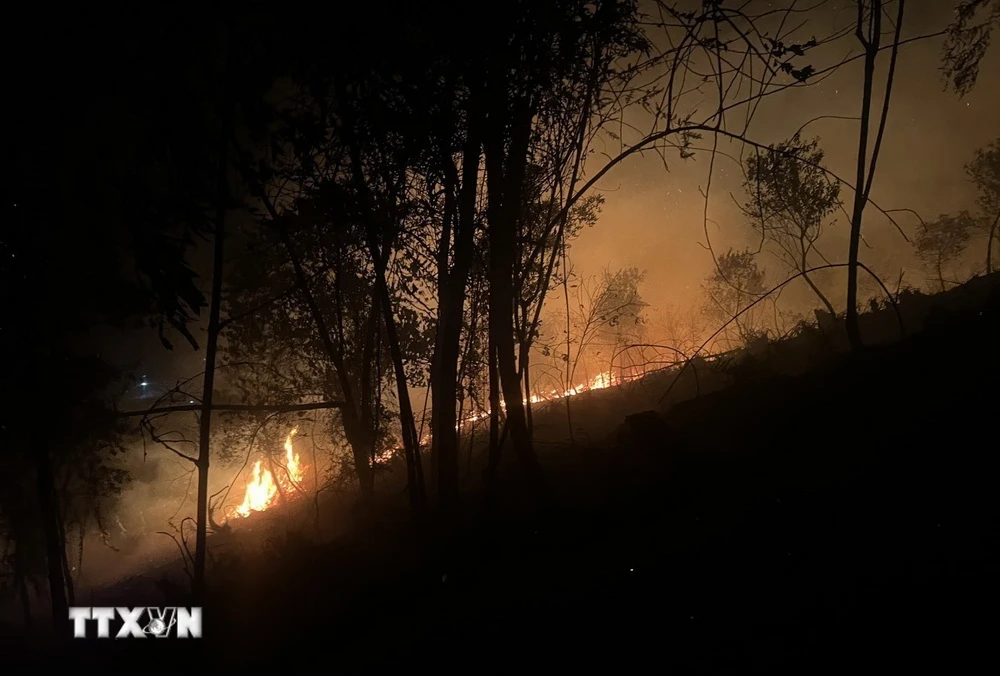 Khu vực xảy ra cháy rừng tại Tiểu khu 471, thôn Bản Hán, xã Phúc Sơn, thị xã Nghĩa Lộ. (Ảnh: TTXVN phát)