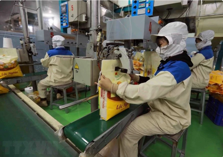 Đóng gói sản phẩm gạo xuất khẩu tại nhà máy của Tập đoàn Lộc Trời. (Ảnh: Vũ Sinh/TTXVN)