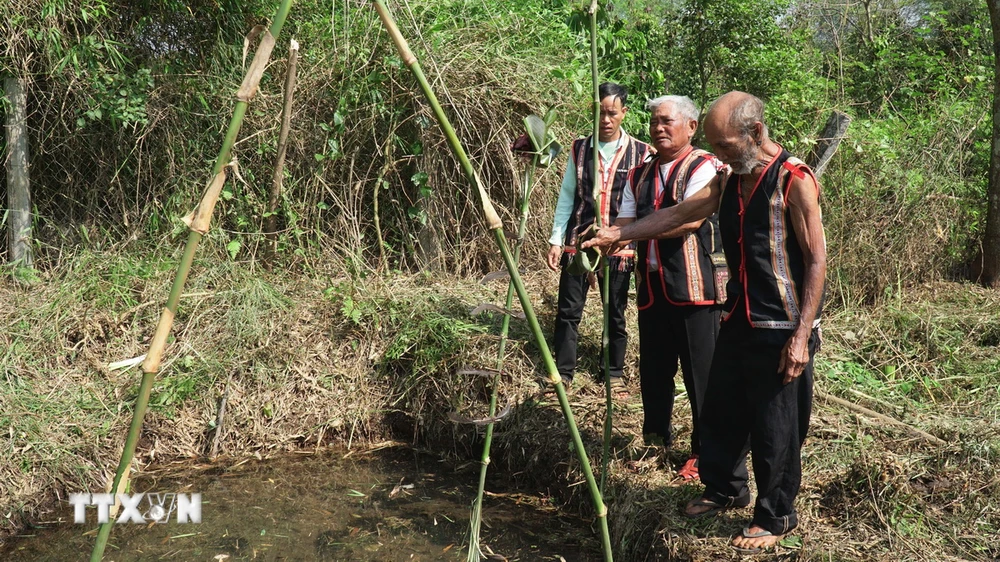 Tái hiện nghi lễ cầu mưa của đồng bào Bahnar ở làng Hnap, xã K'Dang, huyện Đăk Đoa, tỉnh Gia Lai. (Ảnh: Hoài Nam/TTXVN)