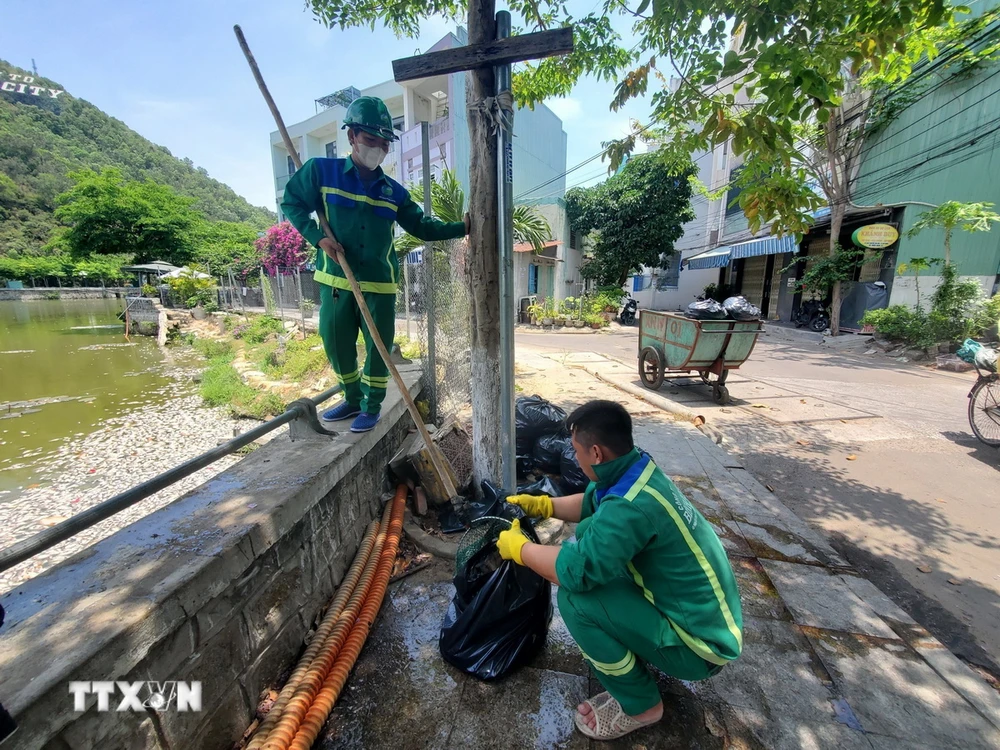 Đơn vị môi trường xử lý cá chết ở hồ Bàu Sen, thành phố Quy Nhơn. (Ảnh: Sỹ Thắng/TTXVN)
