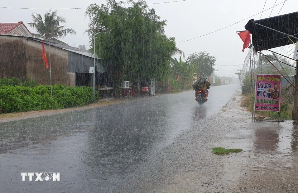 Cơn mưa "giải nhiệt" cái nóng ở tỉnh Trà Vinh. (Ảnh: Thanh Hòa/TTXVN)