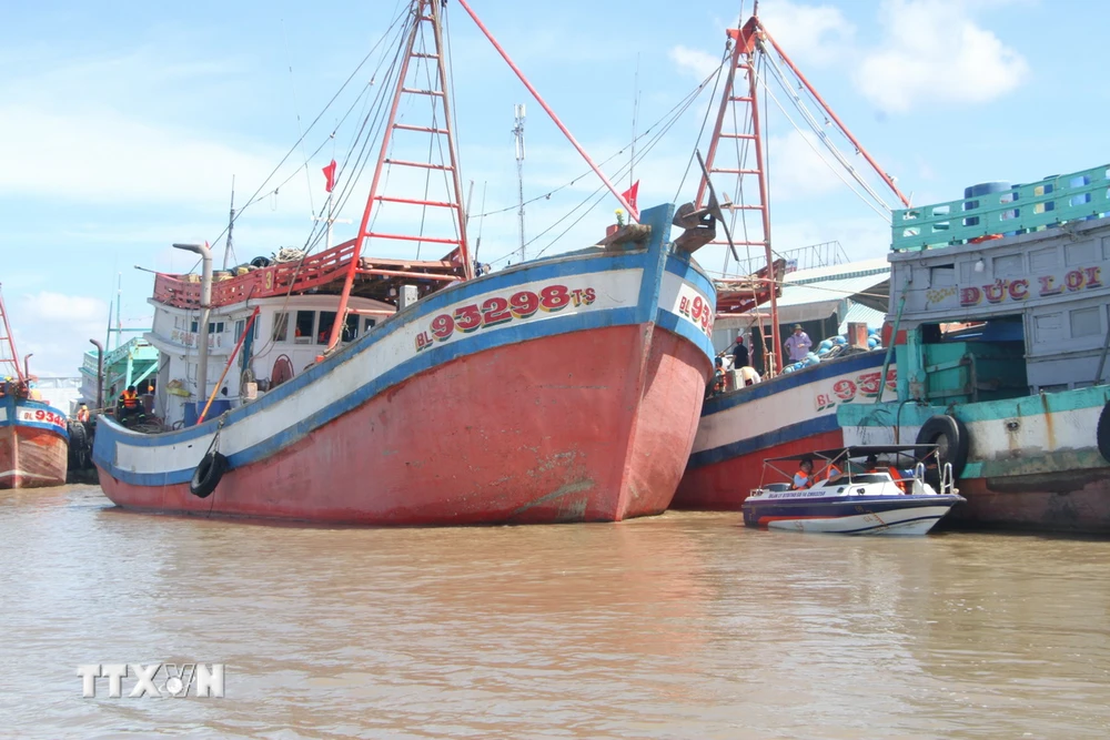 Đánh bắt, khai thác thủy sản được xác định là một trong những lĩnh vực kinh tế mũi nhọn của tỉnh Bạc Liêu. (Ảnh: Chanh Đa/TTXVN)