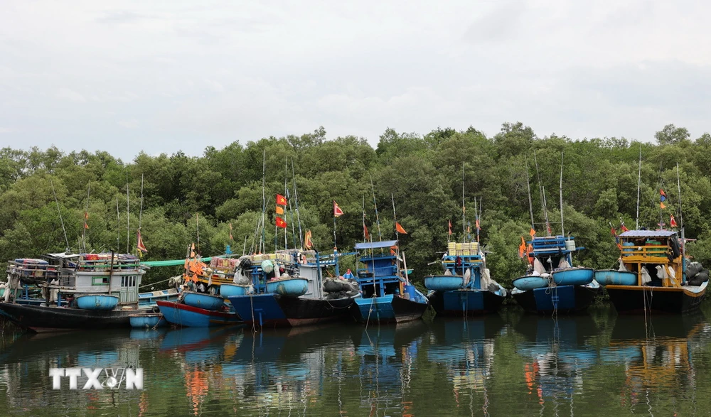 Hàng loạt tàu cá tại xã Lộc An, tỉnh Bà Rịa-Vũng Tàu, phải nằm bờ do giấy phép quy định không đúng với vùng khai thác ngành nghề. (Ảnh: Hoàng Nhị/TTXVN)