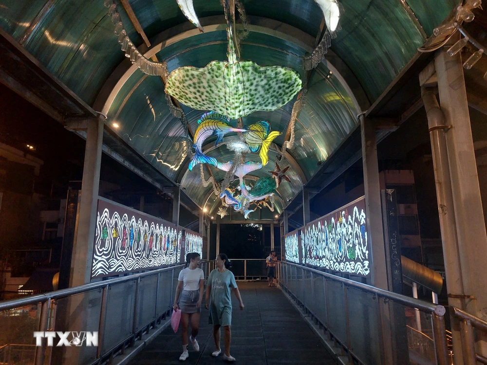 Cầu đi bộ Trần Nhật Duật được biến hóa thành không gian nghệ thuật ánh sáng. (Ảnh: Đinh Thuận/TTXVN)