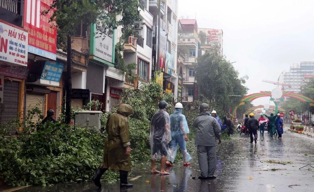 Lực lượng chức năng thành phố Thái Bình thu dọn cây đổ trên đường Lê Lợi, thành phố Thái Bình. (Ảnh: Vũ Quang/TTXVN)