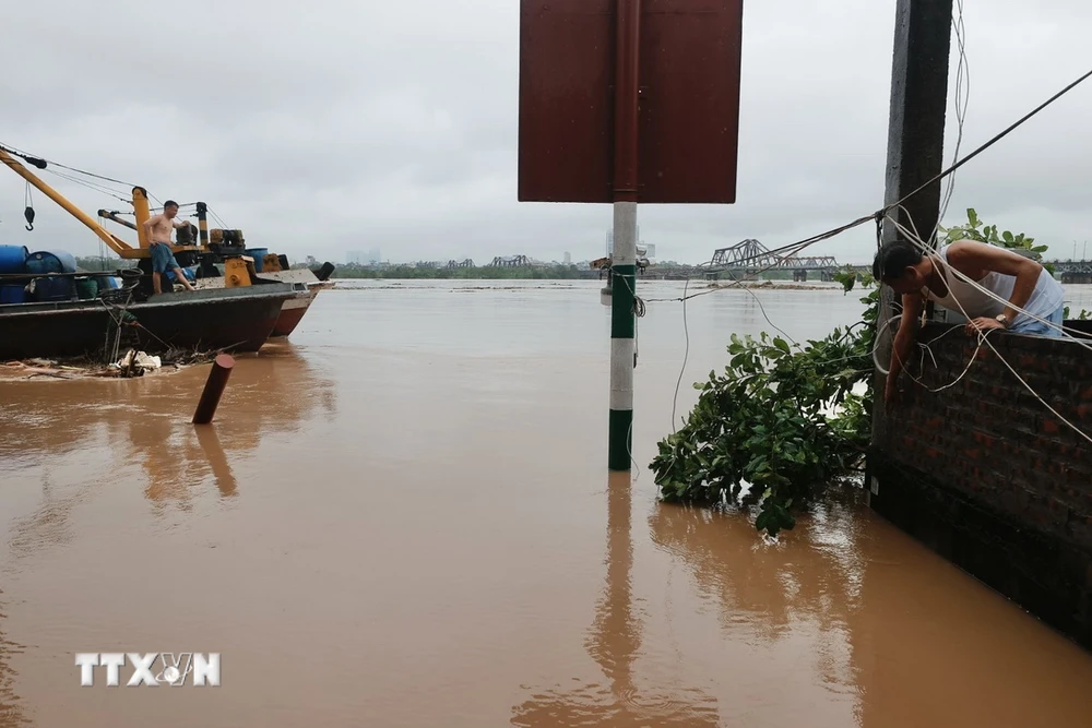 Mực nước sông Hồng ở mức báo động 1 là 9m50 lúc 8h30 ngày 10/9. (Ảnh: Minh Quyết/TTXVN)