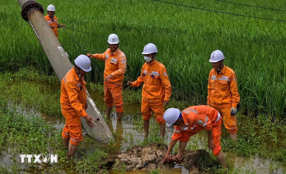 Phỏng vấn đại diện Điện lực Đông Triều, tỉnh Quảng Ninh, về công tác khắc phục sự cố điện sau bão số 3. (Ảnh: Lê Phương/TTXVN)