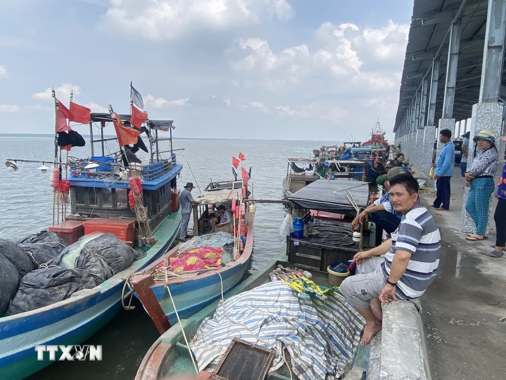 Người dân chờ làm thủ tục đăng ký, đăng kiểm tàu để ra khơi trở lại. (Ảnh: Huỳnh Phúc Hậu/TTXVN)