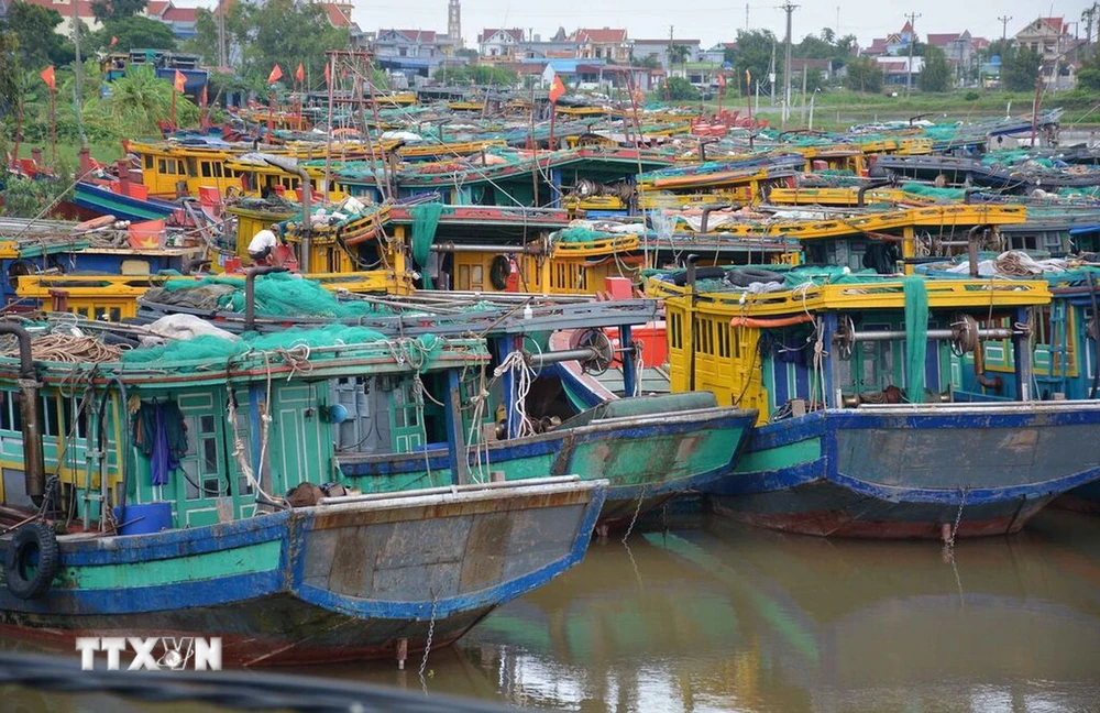 Tàu thuyền neo đậu trên bến cá xã Giao Hải, huyện Giao Thủy, tỉnh Nam Định. (Ảnh: Công Luật/TTXVN)